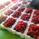 영진2농장 이미지