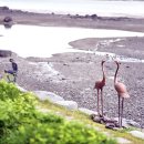 나문재관광농원 이미지