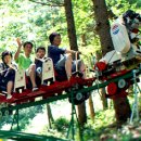 백두대간약초마을 이미지