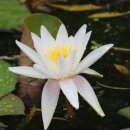 정읍 가볼만한곳 추천명소 10 이미지