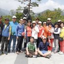 개구쟁이 이미지