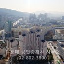 뉴롯데공인중개사사무소 이미지