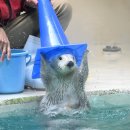 힘찬축산 | 왕 겨울이다