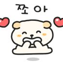 왓숑미용 이미지