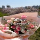 더샵2단지 경로당 | [원주] 명륜동 가성비 넘치는 24시간 원주 꽃집 : 더피어나다