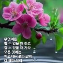 카르텔 이미지