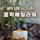 옹막상회