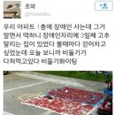 비둘기 이미지