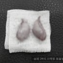 헬리오동물병원 이미지
