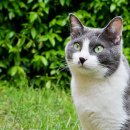 정평동물병원 이미지