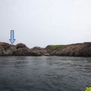 탑섬 Daum백과