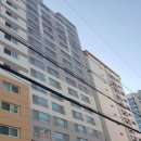 괘법동 괘법초등학교 이미지