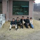 길평목장 Daum카페
