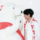 폴라베어 이미지
