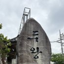 [울산 남구] 울산 오리고기 맛집 두왕골ㅣ국물 시원한 시골오리탕 반마리 후기