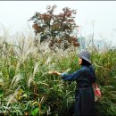 서정대학 | 수원화성 성곽길..늦가을 정취에 반하다.