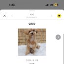 몽띠끄 이미지
