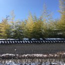 바푸리전주고속 | <MUMO 여행> 전주 1박 2일 일정 공유 - 객리단길 맛집, 카페 추천