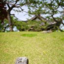 제천 문화단지,고담옥순봉,의림지 이미지