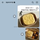 뚱글리