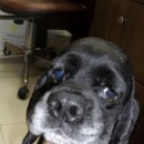 오복슈퍼 앞 이미지