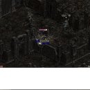 디짐 Daum카페