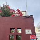 인터뷰 | 스페인 학생비자 인터뷰 후기 + 놀고먹은 얘기