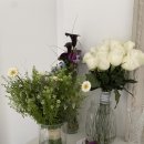 Wedding14. 이플랜트 촬영부케 3종 후기ㅣ웨딩 촬영부케 추천