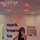 하다부트캠프
