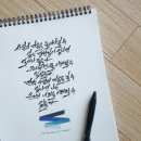 우리고양이 이미지