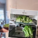 차진열농장 이미지