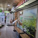 채선당 호매실점 티스토리