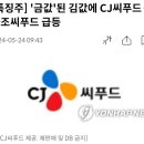 사조씨푸드(주) 이미지