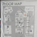 생선선생 이미지