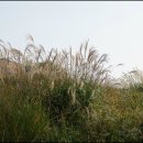 화서공원 이미지