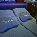 댕편한세상 이미지