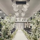 호텔제이 | step. 3 웨딩홀 예약하기(제이스퀘어 호텔_비너스홀 예약후기)