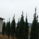 블루엔젤 하우스 이미지