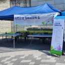 열린스포츠센터 | 송악스포츠센터에서 열린 제3회 다둥이 가족축제, 참여 후기 (에어바운스부터 매직공연까지 풍성한 체험...