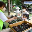 이효석문화예술촌 이미지