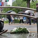 시청역 7번출구 인근 이미지