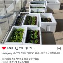 한일민박 이미지