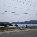 아라돔하우스 | 경남 남해 바닷가 펜션 아라별돔펜션 (후기,주차,내부,바베큐) 낚시하기 좋은 곳