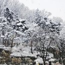 설화 이미지