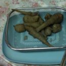 태호축사 | 심전님 댁 방문 후기