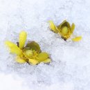 함양얼음 이미지