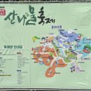 양춘만 | 2026년 제16회 양평 용문산 산나물축제 일요일(마지막 날) 후기 | 나물 가격, 주차, 석쇠 갈비