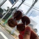카페제이브 이미지