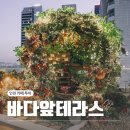 영종역 뒷편 | 영종도 오션뷰카페 바다앞테라스 (크리스마스 카페 투어)