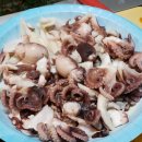 씨앗골캠핑장 이미지